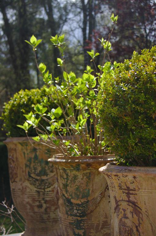 So Touquet Bed and Breakfast Le Touquet Εξωτερικό φωτογραφία