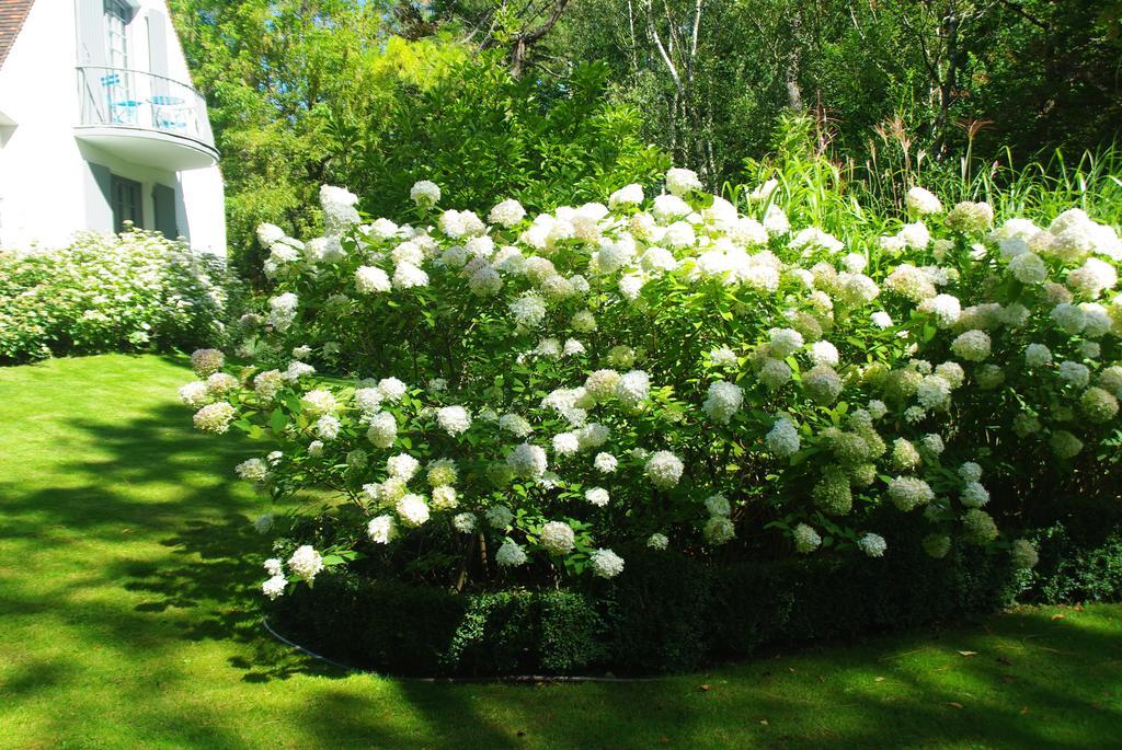 So Touquet Bed and Breakfast Le Touquet Εξωτερικό φωτογραφία